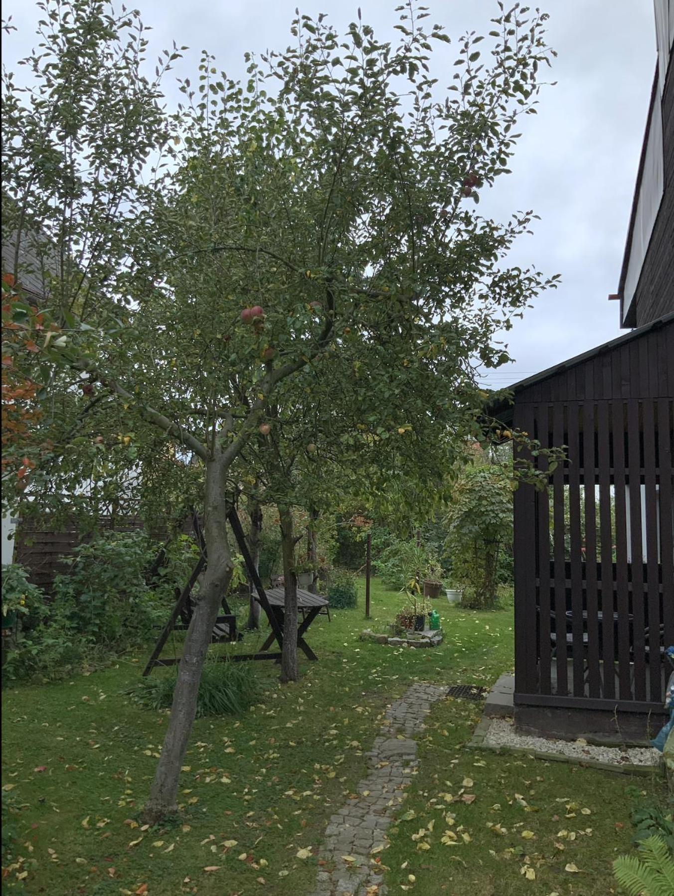Apartament Pod Zamkiem Chojnik Jelenia Góra Extérieur photo